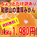 【送料無料】濃厚な味の温州みかん 3.5kg【ちょっとだけ訳あり・家庭用】和歌山産