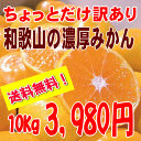 【送料無料】濃厚な味の温州みかん 10kg 和歌山産【ちょっとだけ訳あり・家庭用】 とろける美味しさ!