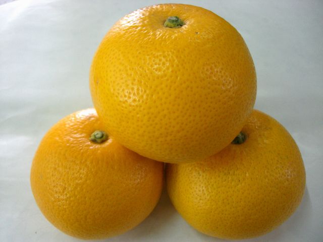 ̵۵̣ȬʤϤäˡ3L10kg