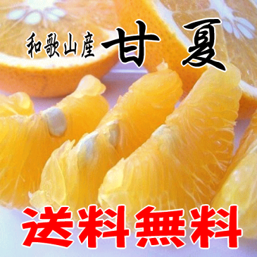 【送料無料】和歌山産 甘夏(あまなつ)5kg この甘酸っぱさがたまらない!