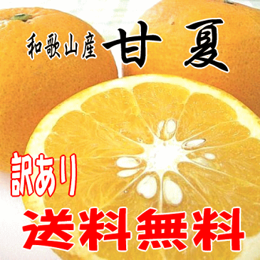 【送料無料】【訳あり】和歌山産 甘夏（あまなつ）10kg この甘酸っぱさがたまらない！