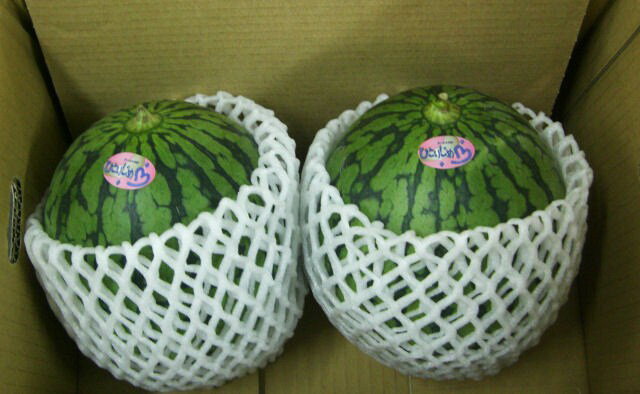 ǯΤ渵Ϥ졪ܾ쵪ξ̤ڤҤȤꤸ7ۡ2