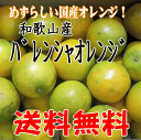 【送料無料】和歌山産≪バレンシアオレンジ≫M/ Lサイズ2kg　めずらしい国産オレンジオレンジ