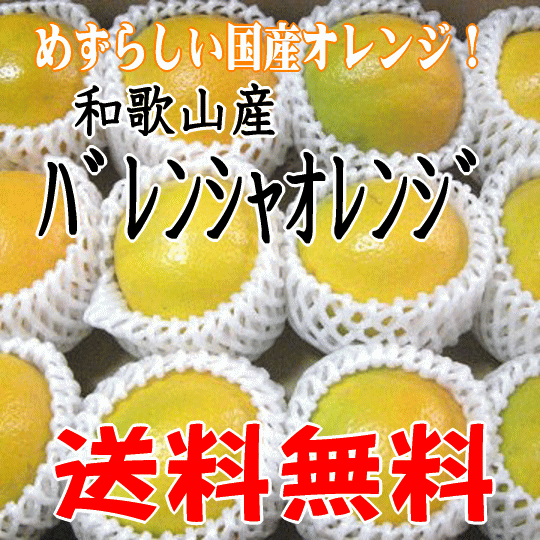 【送料無料】和歌山産≪バレンシアオレンジ≫ 2Lサイズ7kg めずらしい国産オレンジ