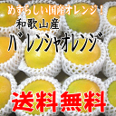 【送料無料】和歌山産≪バレンシアオレンジ≫ 2Lサイズ12個　化粧箱入り【特選ギフト】 めずらしい国産オレンジ