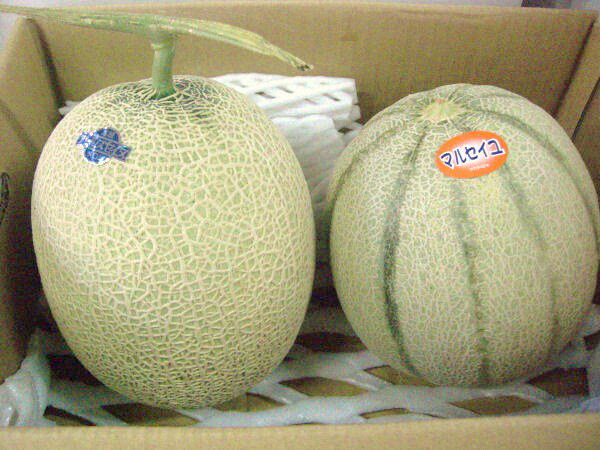 赤肉メロン・青肉メロンのセット絶対お得!紀州産 2種メロンセット【アールスメロン・マルセイユ】 2玉