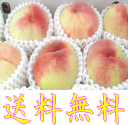 【送料無料】【訳あり】和歌山産 美味し〜い≪桃≫ 11〜15...