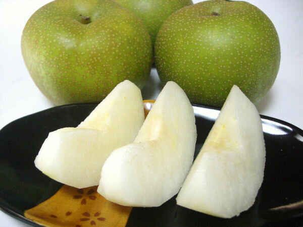 【送料無料】和歌山の珍しい梨です！≪菊水梨≫　 15玉入り