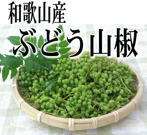 和歌山産　山椒の実（生）・ぶどう山椒 500g 【実山椒】【クール便】...:auc-yaoya-kishu:10000535