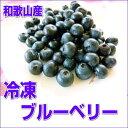 ¹ñ»º¤ÎÎäÅà¥Ö¥ë¡¼¥Ù¥ê¡¼ 500g ¡ÚÏ²λ³¸©»º¡Û¥µ¥¤¥ºÉÔÁªÊÌ ÎäÅàÊØ