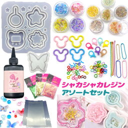 レジン 子供用セット シャカシャカ キーホルダー レジンキット キッズ アソートセット レジンクラフト 封入パーツ <strong>スターターキット</strong> UVレジン 資材セット モールド カラビナ 誕生日 クリスマス プレゼント 福袋 assort349 GreenRoseYumi