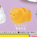 やわもっち こねこ 4:香箱ずわり ちゃとら エール ガチャポン ガチャガチャ ガシャポン