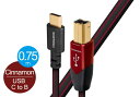 audioquest - USB2 CINNAMON/0.75m/CB(USB2/CIN/0.75M/CB)(USB2.0・C-B)【在庫有り即納】
