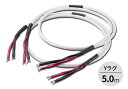 AET - EVO-1304H SP/5.0m/Yラグ(完成品・スピーカーケーブル・ペア)【受注生産(要事前決済)】【メーカー直送品(代引不可)・納期は確認後ご連絡】