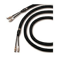 yzKimber Cable Monocle--XL 2.5mLo[P[u