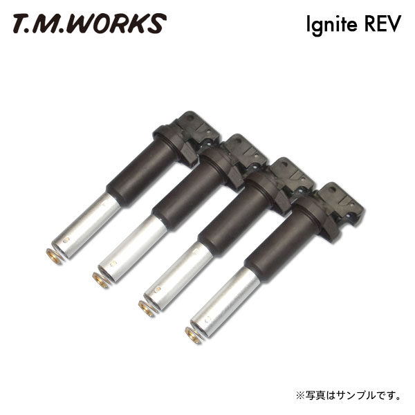 T.M.WORKS イグナイトレブ アバルト 695 エディツィオーネマセラティ 312142 H21〜 312A3 マルチエア車取り付け不可