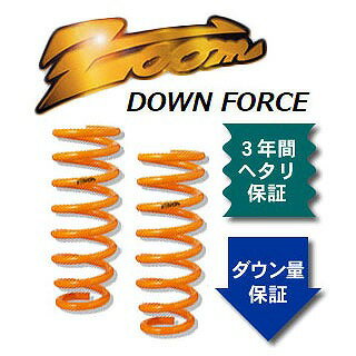 ズーム ダウンフォース ローダウンサスペンション ZRN005003FDF 入数：フロント左右 ルノー ルーテシア(57) 57F7P F7P 1800cc 1991年10月〜1998年11月 Low down suspension