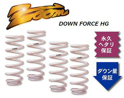 ズーム ダウンフォースHG ローダウンサスペンション ZHO020004SHG 入数：1台分 ホンダ アスコット CB4 F20A 2WD 2000cc 1989年09月～1993年10月 Low down suspension