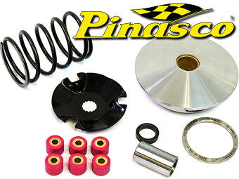 PinascoBWS100BW'S100グランドアクシス100バリエーターセット