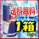★500円割引クーポン対象商品★【送料無料:北海道・九州・沖縄は除く】【1箱価格】キリン レッドブル185缶(185ml×24本、1ケース)【エナジードリンク】【飲料】【ソフトドリンク】【キリンビバレッジ】