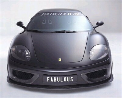 FERRARI 360 MODENA F1 FRONT BUMPER SPOILER FRP 塗装済み