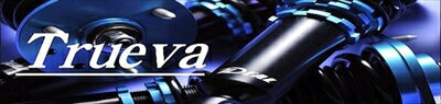 サイノス Trueva 車高調キット EL4＃