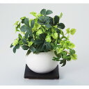 petits pois PARIS 光触媒グリーン 4577...
