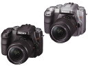 SONY DSLR-A100K fW^჌tJ