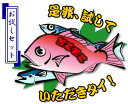 【淡路島直送！送料無料】水産会社が直売！プロ使用の鮮度抜群の魚を漁港直送します初めての方専用お試しセット！