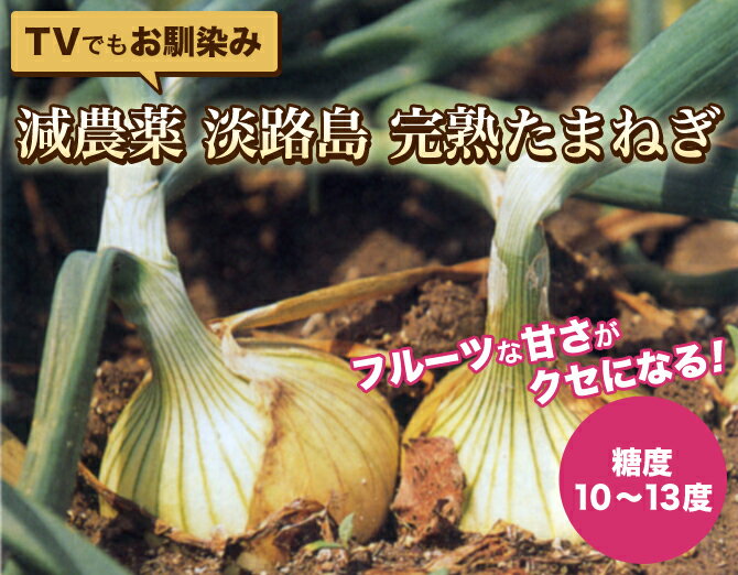 【送料無料】減農薬淡路島産完熟たまねぎ 5kg 【大人気の6000箱販売実績！新鮮農家直売】テレビにも登場。糖度10〜13度孫のアトピーを治したい．．その思いが最高級の玉ねぎを作り上げました。減農薬淡路島産完熟