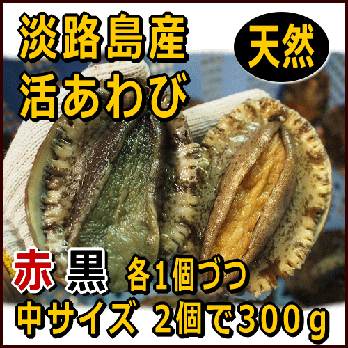 淡路産天然あわび（活）赤と黒セット2個で約300g（アカアワビ・クロアワビ）【楽ギフ_のし…...:awajisakana:10000058