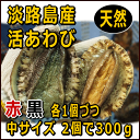 淡路産天然あわび（活）赤と黒セット2個で約300g（アカアワビ・クロアワビ）【マラソン201207_食品】【ギフト対応】赤あわびと黒あわび1個づつの2個セット