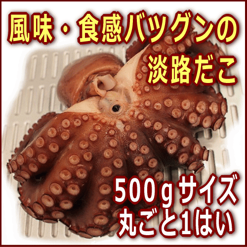 淡路島産湯だこ（ボイルタコ）丸ごと1はい500g前後（ゆでだこ・地だこ・たこ・ゆだこ）...:awajisakana:10000027