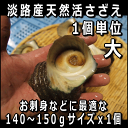 淡路島産天然活さざえ（大）140g〜150gサイズ1個（素もぐり漁獲/サザエ）【SBZcou1208】