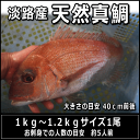 淡路島産天然マダイ1kg〜1.2kg1尾（真鯛・タイ・たい）【SBZcou1208】