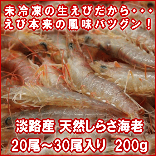 淡路産天然しらさ海老(生)20〜30尾合計約200g【SBZcou1208】えびの風味がたっぷり詰まった！鮮度一番氷〆即日発送えび料理に色々使える