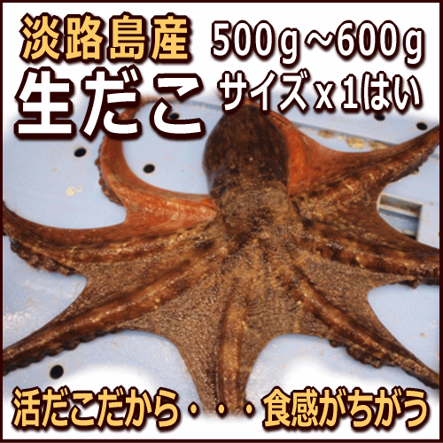 淡路産生タコ（活〆）500〜600gサイズを1はい（生・活じめ・たこ・活だこ）...:awajisakana:10000107