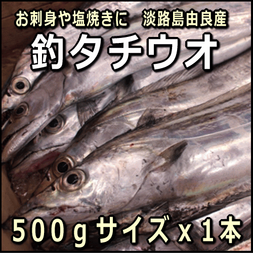 【お刺身用】淡路産（釣）タチウオ約500g中サイズ1本（たちうお・太刀魚・つり）