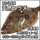 淡路島産天然ヒラメ400g〜500g1枚(活じめ)【お刺身で2〜3人前】(ひらめ・平目)