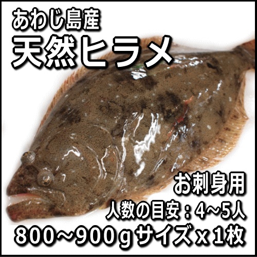 淡路島産天然ヒラメ800g〜900g1枚（活じめ）【お刺身で4〜5人前】（ひらめ・平目）...:awajisakana:10000050