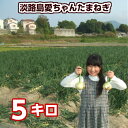 【送料無料】淡路島愛ちゃん たまねぎ【5... 【送料無料】淡路島愛ちゃん たまねぎ【5...