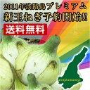 ●ついに『新』玉ねぎご予約開始！●淡路島プレミアム新玉ねぎ2011年！▲送料無料●水分たっぷりの淡路たまねぎ9kg☆同梱がお得です！ お土産にも大人気♪淡路島新たまねぎ淡路産新たまねぎ・淡路新たまねぎ・淡路島新玉ねぎ・新タマネギ野菜玉ねぎ丸焼き