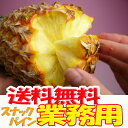 【業務用】沖縄産スナックパイン(ボゴールパイン)20.0kg前後(16?30個)産直価格!でお届け♪TVで話題のパイナップル通販【マラソン201307_送料無料】【マラソン201307_最安値挑戦】【マラソン201307_動画】【マラソン201307_訳あり】【RCP】