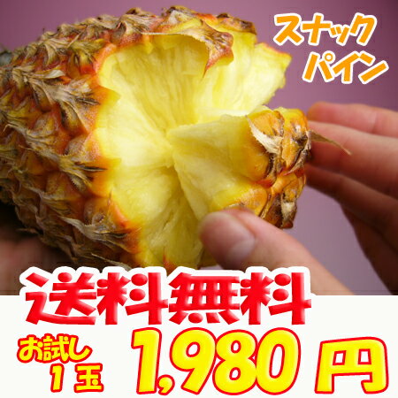 【送料無料】沖縄産スナックパイン（ボゴールパイン）1玉（500g〜800g）産直価格！話題のパイナップル沖縄　おきなわ 旬 産地直送 沖縄土産 スナックパイナップル 沖縄お土産 通販【送料無料】楽天ランキング第一位！フジテレビ『おいしい畑びより』で紹介のパイナップル沖縄産 沖縄県産 琉球 沖縄土産