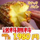 【送料無料】沖縄産スナックパイン（ボゴールパイン）1玉（500g〜800g）産直価格！話題のパイナップル沖縄　おきなわ 旬 産地直送 沖縄土産 スナックパイナップル 沖縄お土産 通販