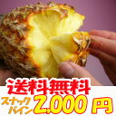 【送料無料】沖縄産スナックパイン1玉(600g?700g)★増量サービスあり★産直価格でお届け♪話題のパイナップル(ボゴールパイン)【RCP】 石垣 国産 お取り寄せ フルーツ【沖縄】