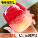 琉球グラス 送料無料泡ハーフタル型コップ 赤H80mm×W80mm琉球グラス グラス コップ 沖縄グラス カレット ペア ワイン ワイングラス セット ロックグラス 還暦祝い 名入れ ガラス おしゃれ バカラ ペアグラス 母の日 早割り ギフト プレゼント