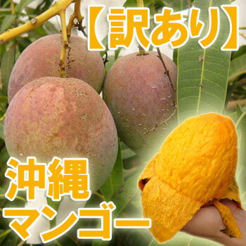 ̵۲컺ޥ󥴡4kg816ġ˲졡 ľ...