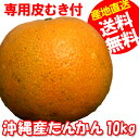 【送料無料】沖縄産タンカン(たんかん)10kg★専用皮むきのオマケつき★産地直送!沖縄オレンジ(みかん)サイズバラバラ60?150個程度【予約】旬の沖縄おきなわフルーツ(果物)訳あり(わけあり) セール ギフト みかん 10kg 送料無料
