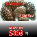 なまこ・赤ナマコ『淡路島産 生赤ナマコ』約500g